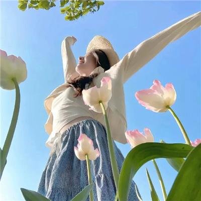 恐龙战队第四季