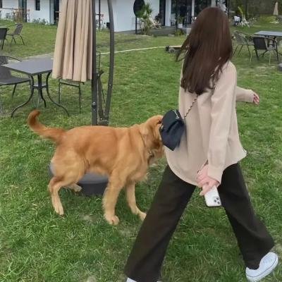 时间怪客